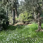 Casa Travi *